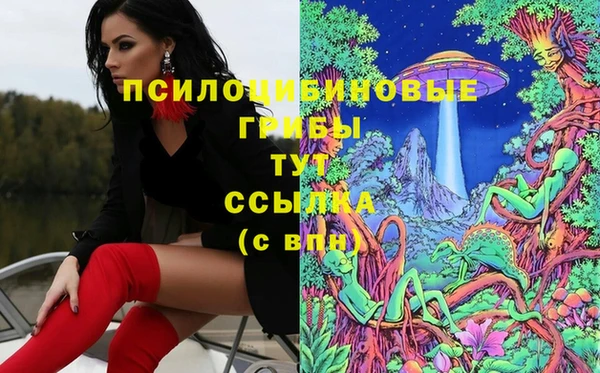 СК Кодинск