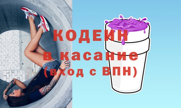 СК Кодинск